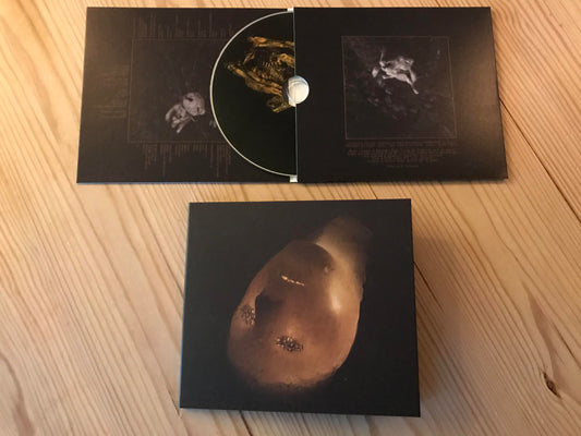 GORRCH - Introvertere MCD