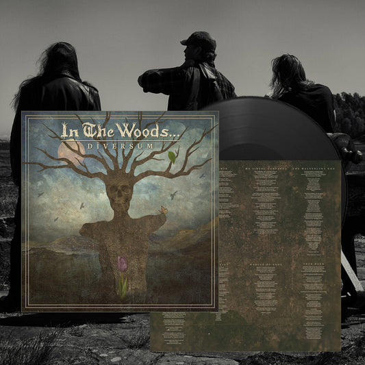 IN THE WOODS... - Diversum LP