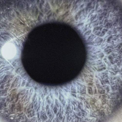 DAN SWANÖ - Moontower 2CD