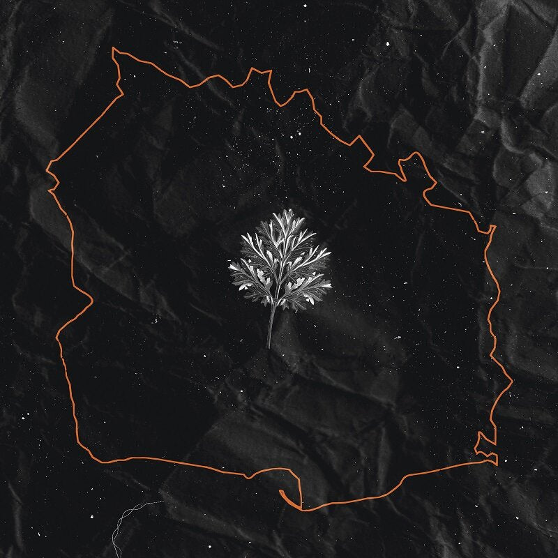 IN TWILIGHT'S EMBRACE - Lawa LP