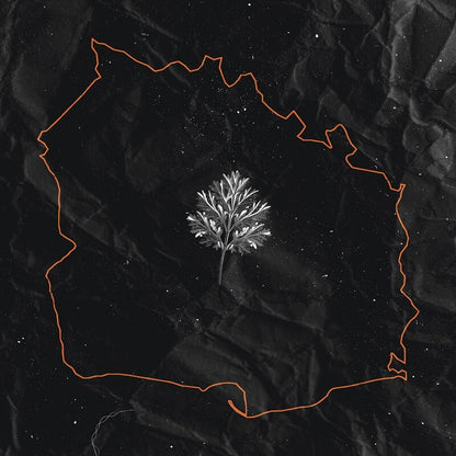 IN TWILIGHT'S EMBRACE - Lawa LP