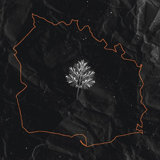 IN TWILIGHT'S EMBRACE - Lawa LP