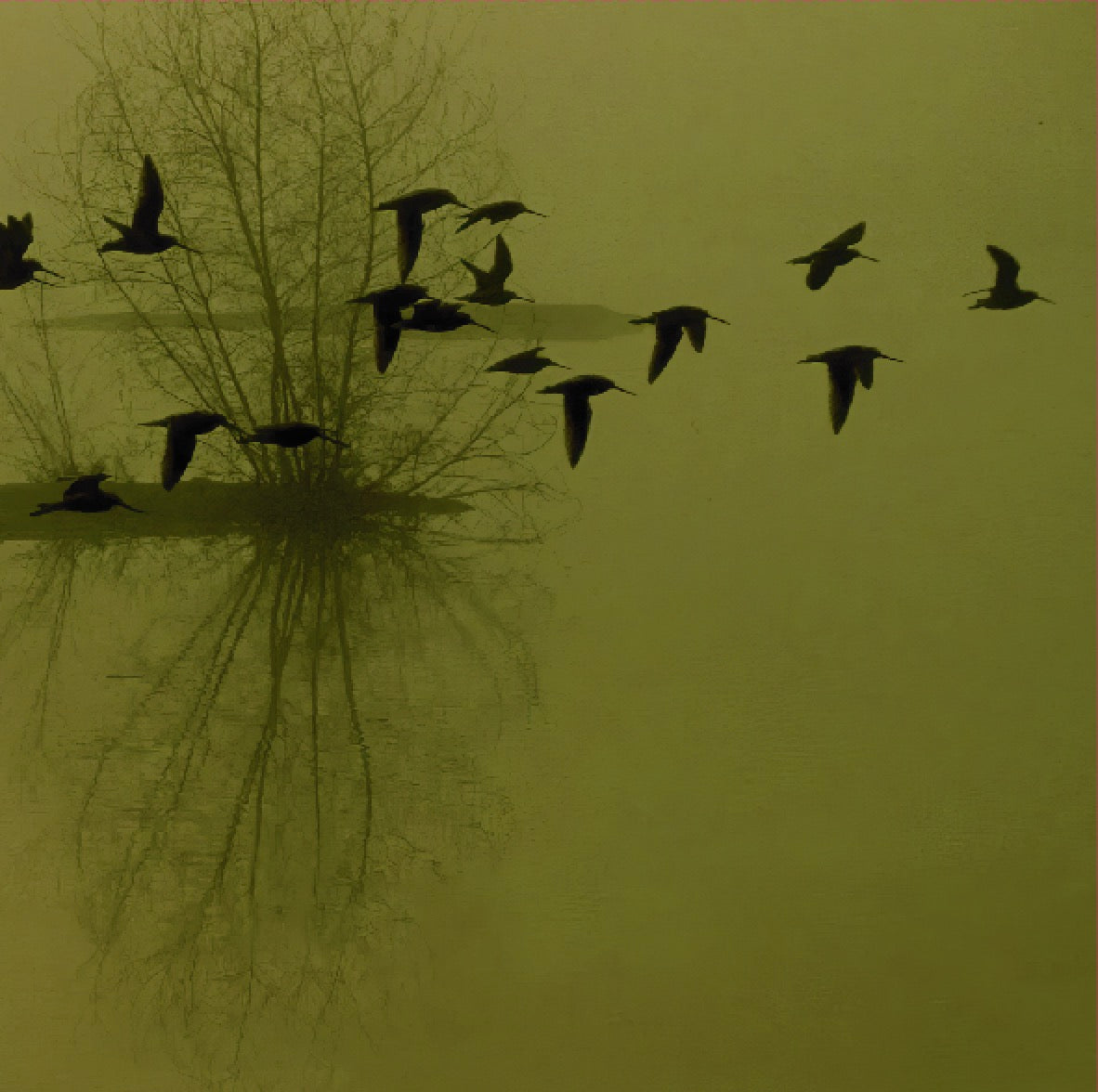 DUSK - ...Majestic Thou In Ruin LP (COKE BOTTLE)