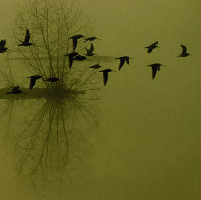 DUSK - ...Majestic Thou In Ruin LP (COKE BOTTLE)