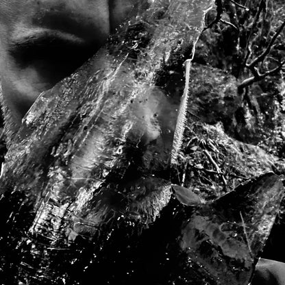 TAAKE - En Skog av Nidstang LP (WHITE) (Preorder)