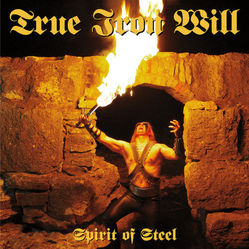TRUE IRON WILL - Spirit Of Steel LP
