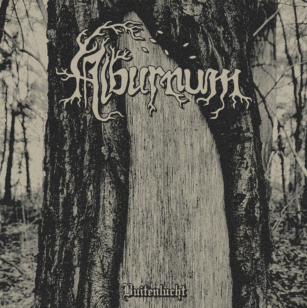ALBURNUM - Buitenlucht LP