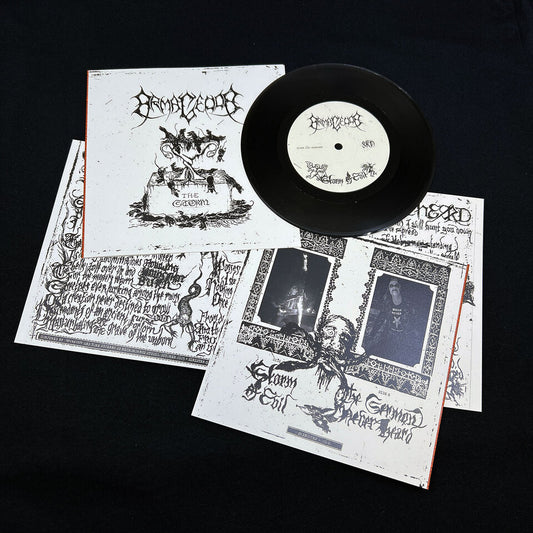 ARMAGEDDA - The Storm 7"EP (Preorder)
