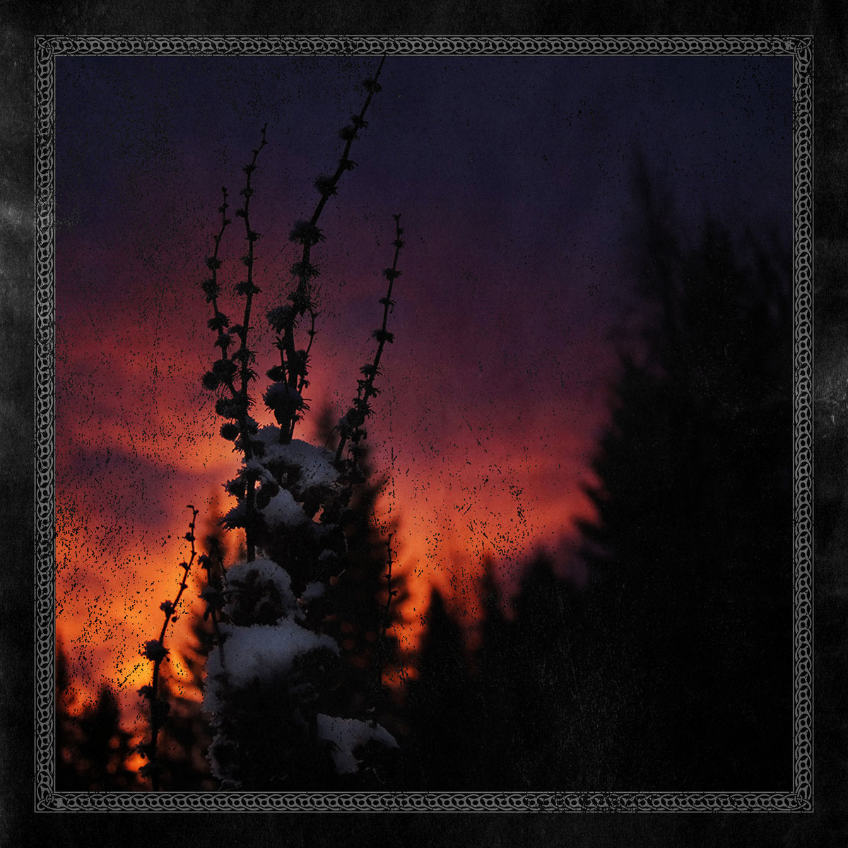 BLACKBRAID - Nocturnal Womb 10"EP (SMOKE)
