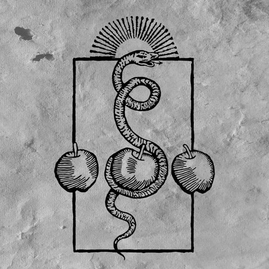 DARVAZA - We Are Him LP (Preorder)