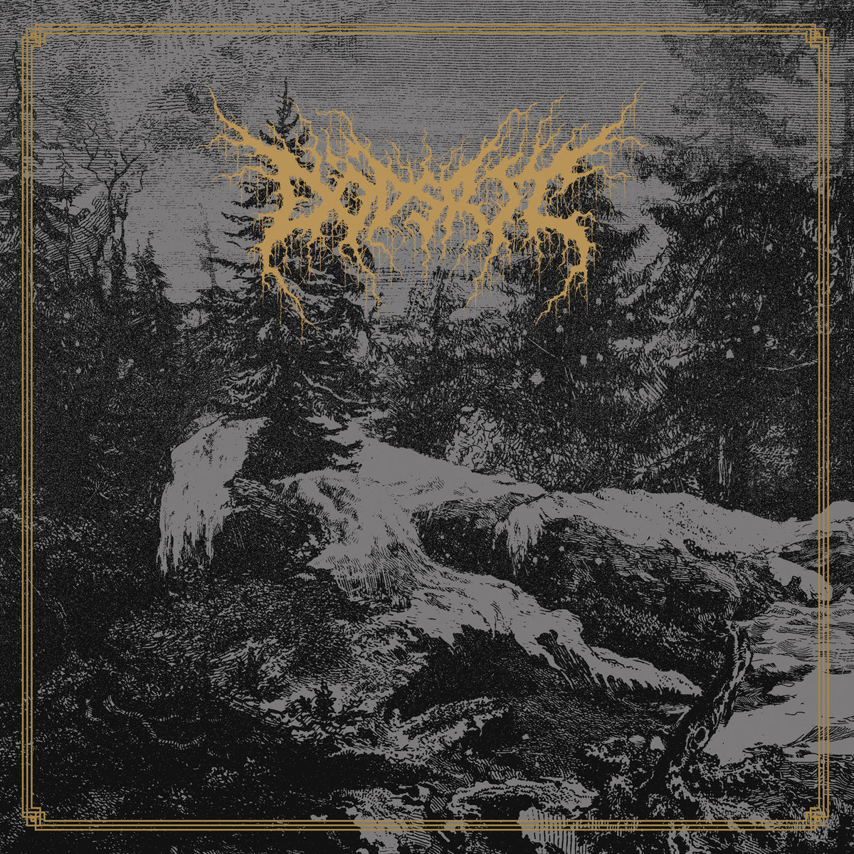 DÖDSRIT - Mortal Coil LP