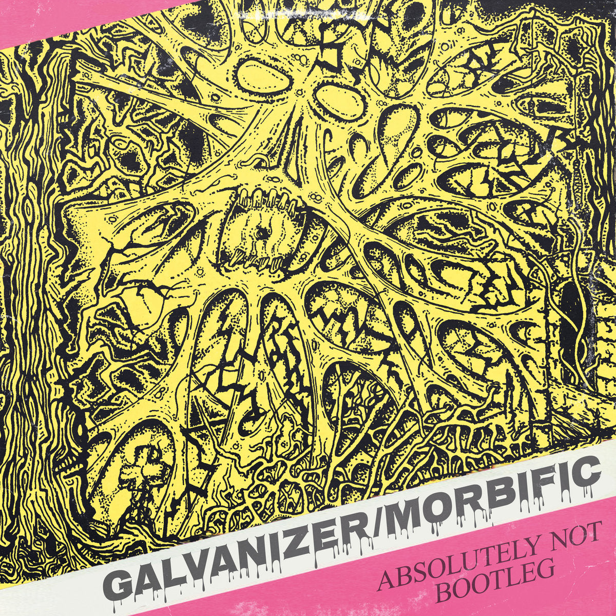 GALVANIZER / MORBIFIC - Split MLP (Preorder)