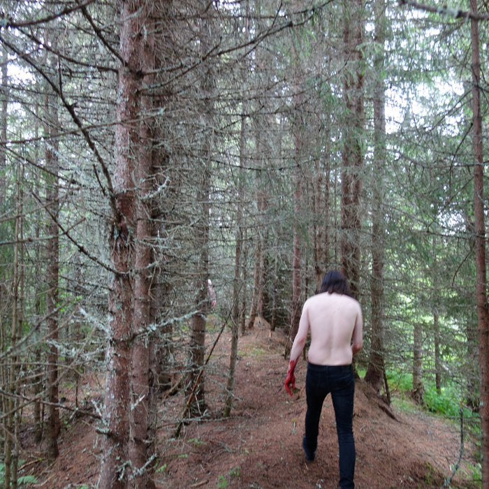 GJENDØD - Nedstigning CD