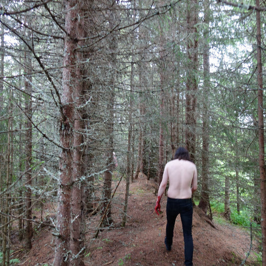 GJENDØD - Nedstigning CD