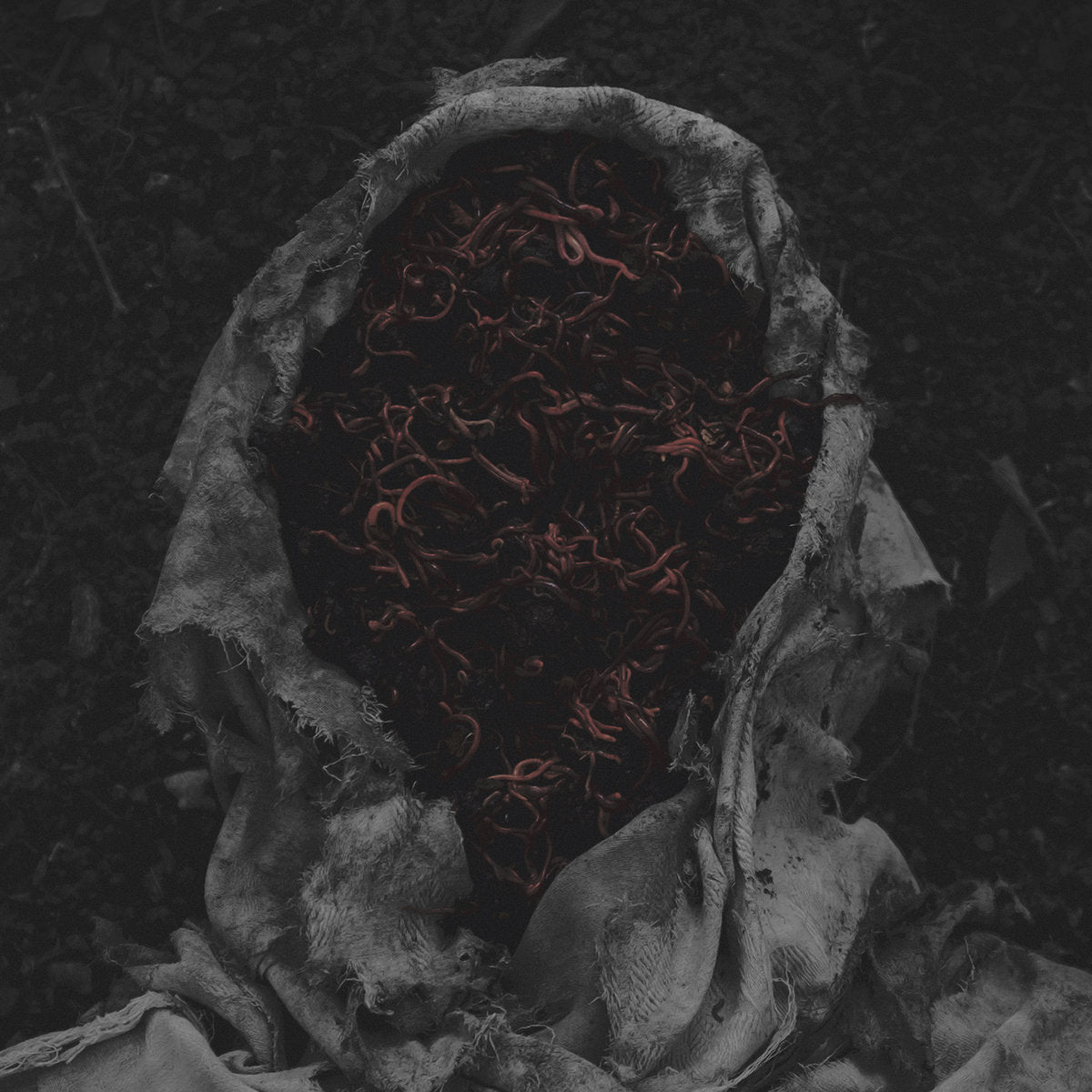 GORRCH - Stillamentum LP (Preorder)