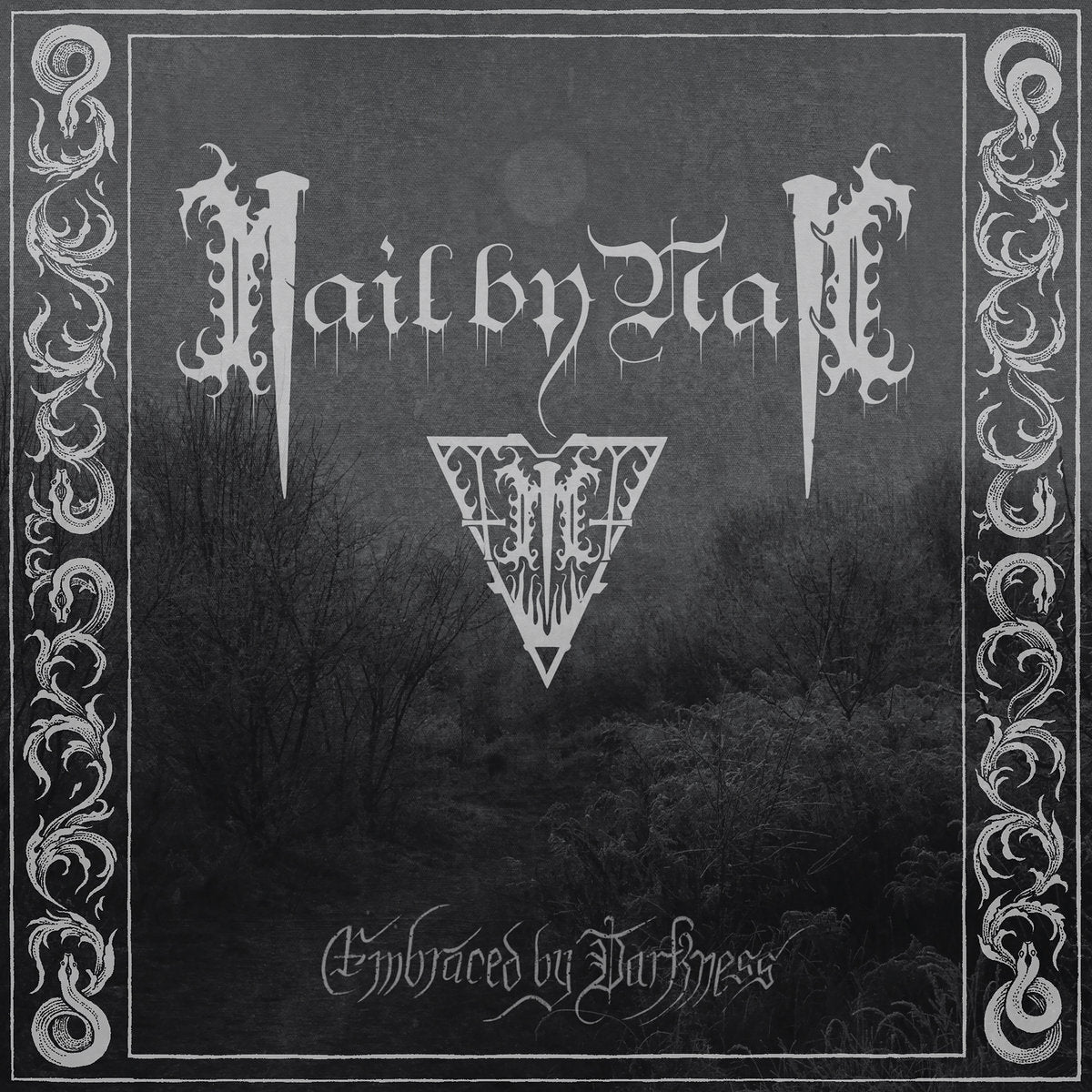 NAIL BY NAIL - Embraced by Darkness LP (MARBLE) (Preorder)