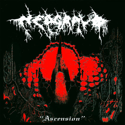 NEDGRAVD - Ascension CD (Preorder)