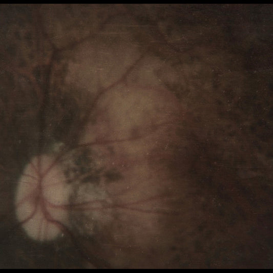 PALE SPEKTRE - Bereft Of Xerotic Layers CD