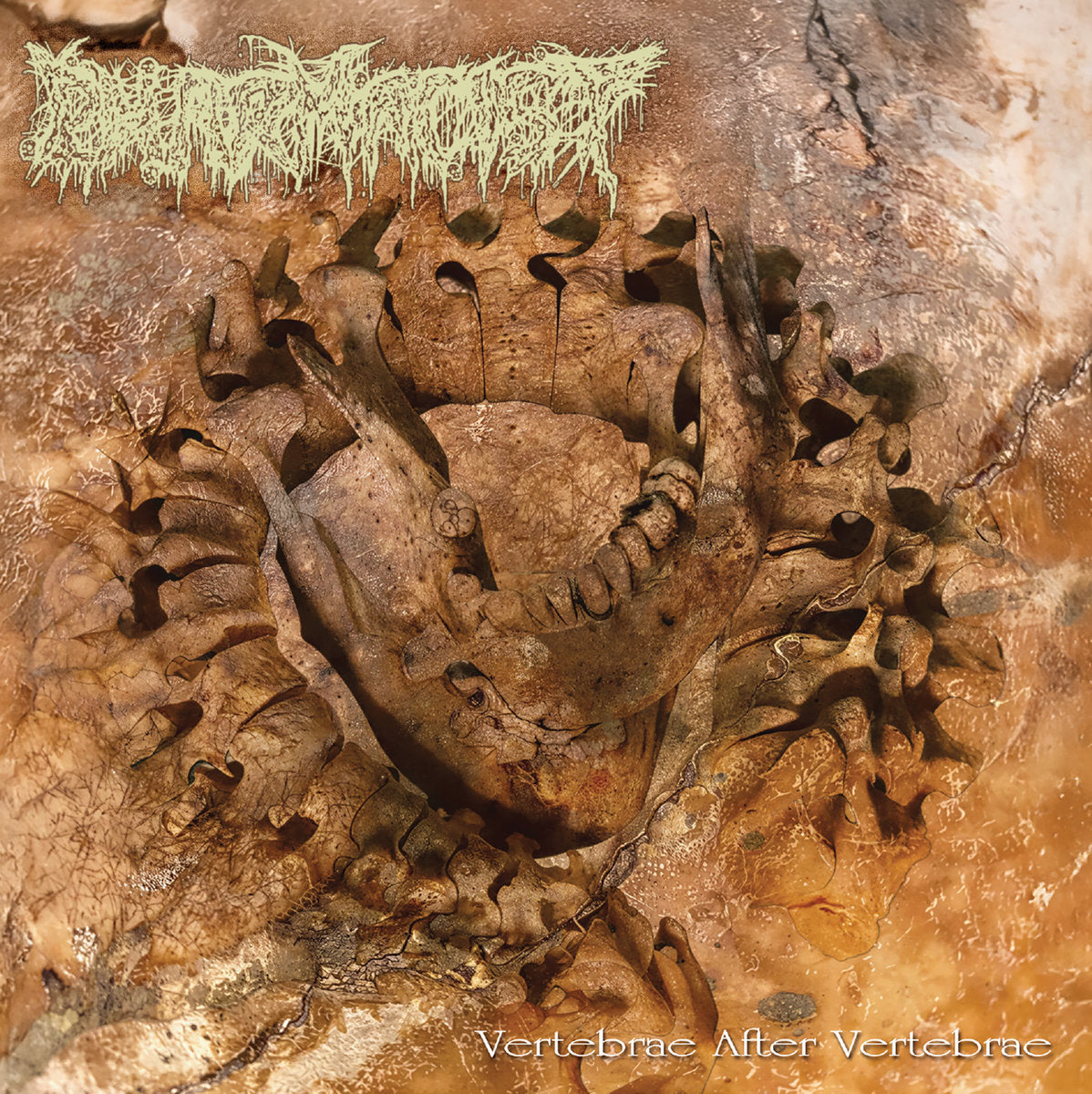 PHARMACIST - Vertebrae After Vertebrae CD (Preorder)