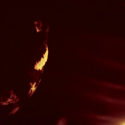 SKEPTICISM - Stormcrowfleet 30th Anniversary 2LP