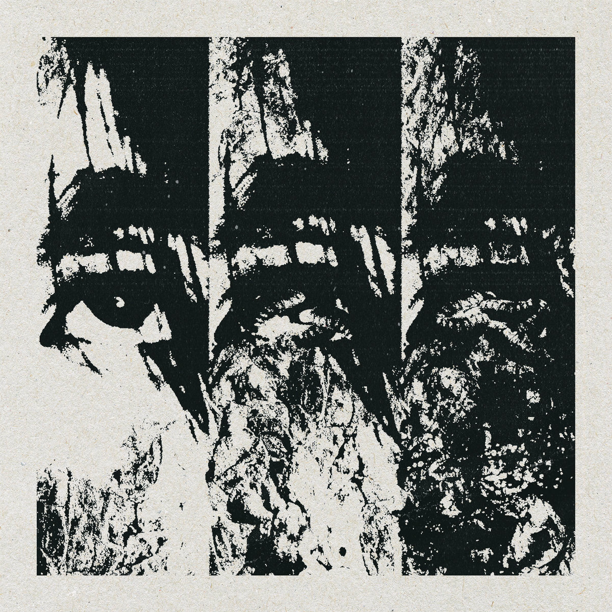 WORMROT - Left To Rot LP (SPLATTER)