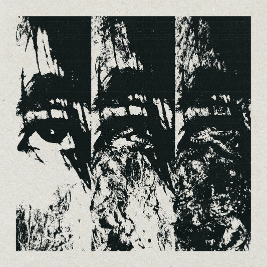 WORMROT - Left To Rot LP (SPLATTER)