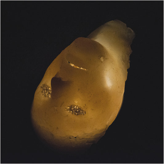 GORRCH - Introvertere MCD