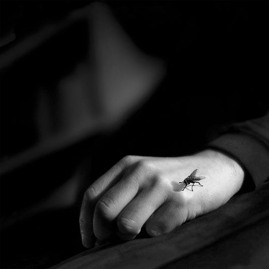 COLLOQUIO - Si Muove E Ride CD