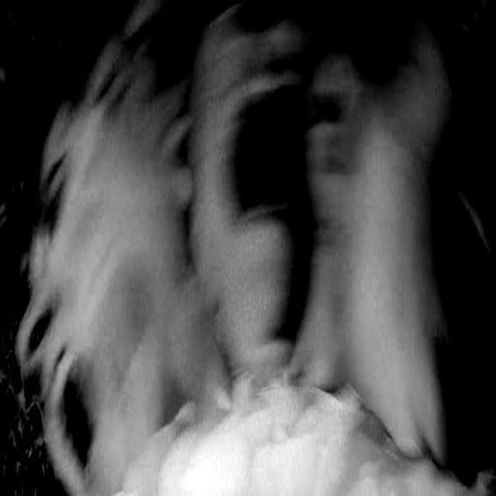 CRYSTALLINE DARKNESS / PESTILENCIA - Delirios CD