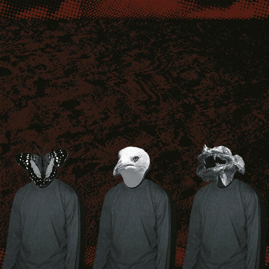 FIRST HUMAN FERRO - Adamnation CD