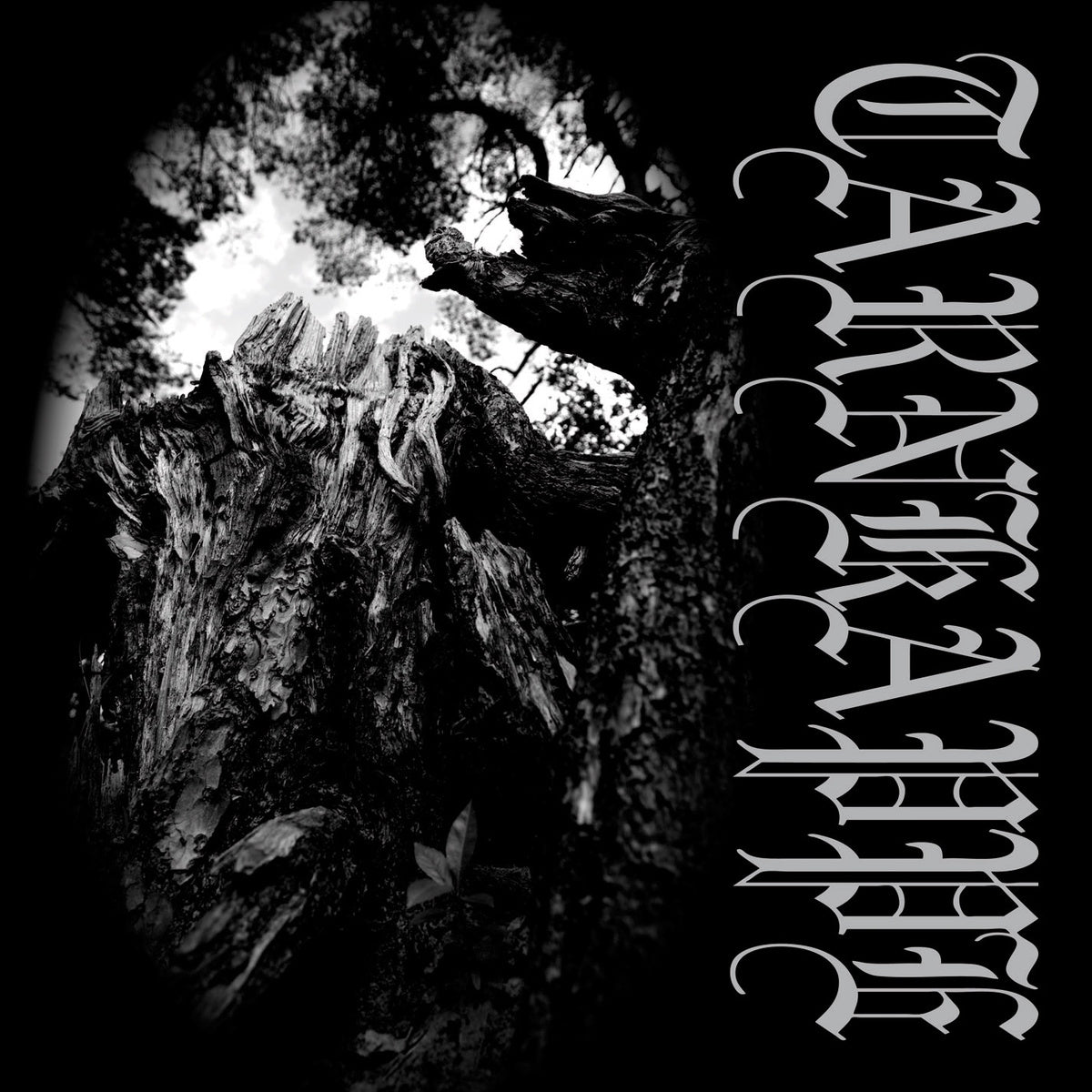 TARNKAPPE - Tussen Hun en de Zon CD